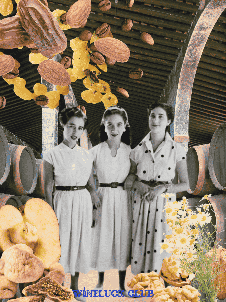 Discover the Rich Flavors of Sherry: A Comprehensive Tasting Guide